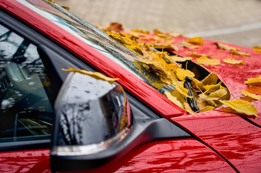 blog-header-image